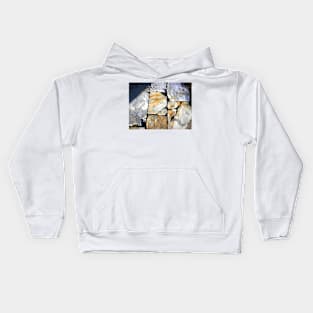 Stone of Pisa Kids Hoodie